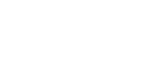 Fifa World Cup